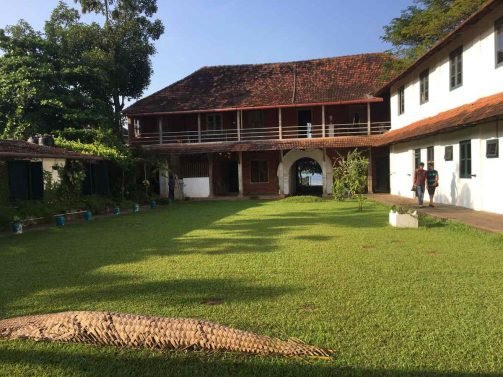 My Favorite 12 Things to do Kochi (Kerala, India)