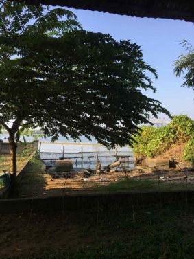 My Favorite 12 Things to do Kochi (Kerala, India)