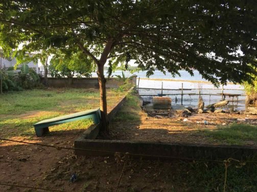 My Favorite 12 Things to do Kochi (Kerala, India)