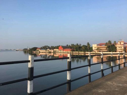 My Favorite 12 Things to do Kochi (Kerala, India)