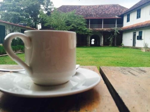 My Favorite 12 Things to do Kochi (Kerala, India)