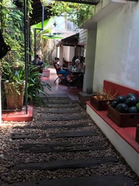 My Favorite 12 Things to do Kochi (Kerala, India)