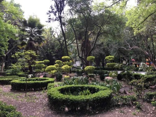 My Favorite 37 Things to do Mexico City (Updated in 2018)
