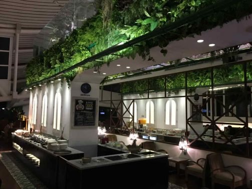 China Eastern Economy Review Bali (DPS) to Los Angeles (LAX) and T/G Lounge Review – or my adventures with the poor man’s Business Class continue