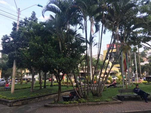 My Favorite 17 Things to do Cali, Colombia