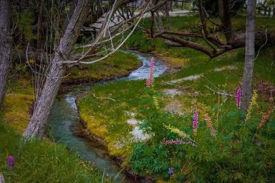 My Favorite 13 Things to do Queenstown, New Zealand