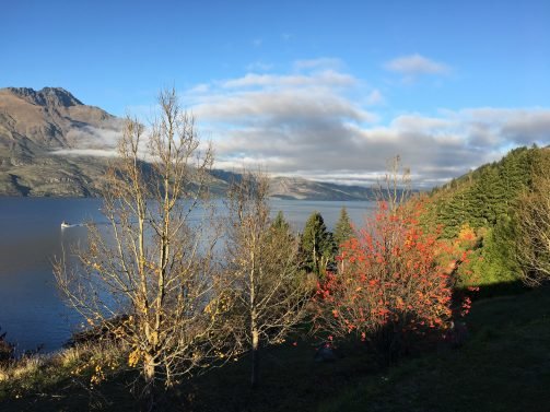 My Favorite 13 Things to do Queenstown, New Zealand