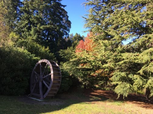 My Favorite 13 Things to do Queenstown, New Zealand