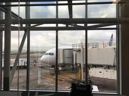 Air New Zealand Business Class / Economy Class Review Auckland (AKL) to Brisbane (BNE) 777-200
