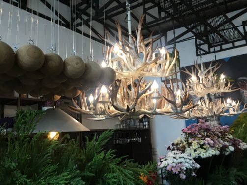 My 30 Favorite Things to do Chiang Mai