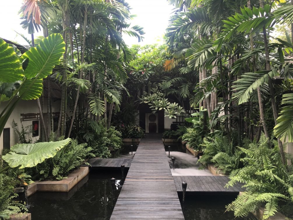 My 30 Favorite Things to do Chiang Mai