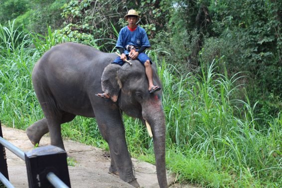 My 30 Favorite Things to do Chiang Mai