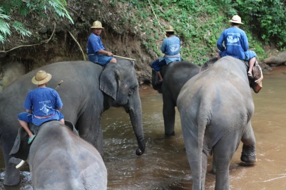 My 30 Favorite Things to do Chiang Mai