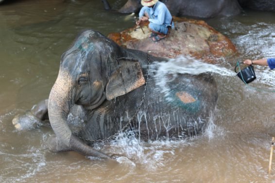My 30 Favorite Things to do Chiang Mai