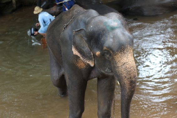 My 30 Favorite Things to do Chiang Mai