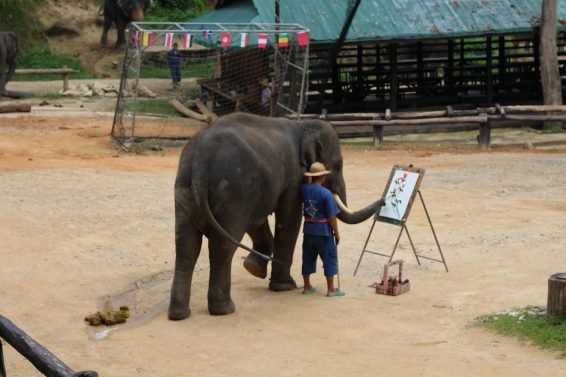My 30 Favorite Things to do Chiang Mai