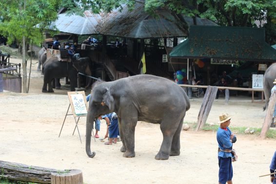 My 30 Favorite Things to do Chiang Mai