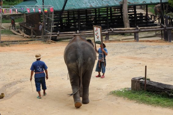 My 30 Favorite Things to do Chiang Mai