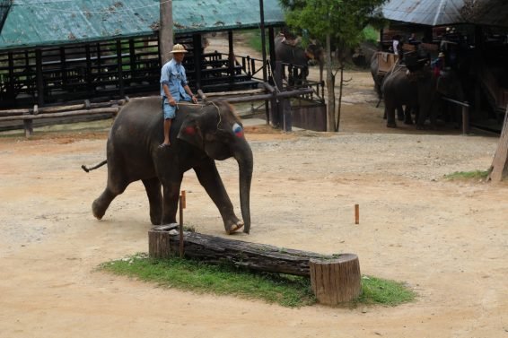 My 30 Favorite Things to do Chiang Mai
