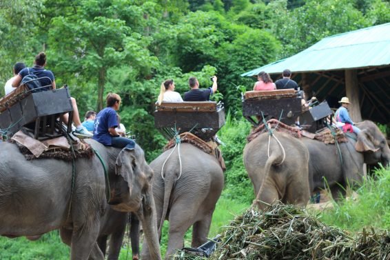 My 30 Favorite Things to do Chiang Mai