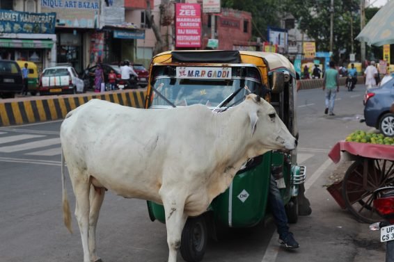 My favorite 5 Things To do Agra, India