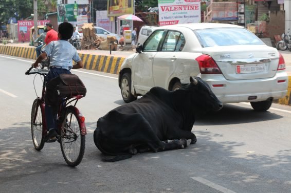 My favorite 5 Things To do Agra, India