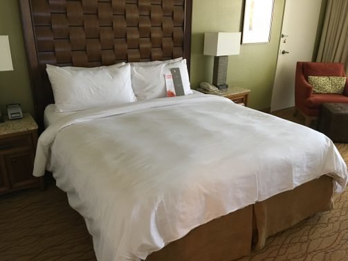 JW Marriott Desert Springs Resort & Spa Review