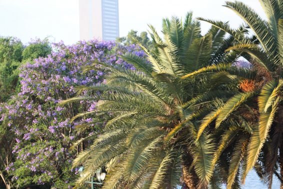 My favorite 22 Things To Do Antananarivo, Madagascar