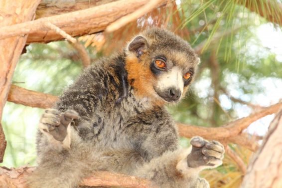 My favorite 22 Things To Do Antananarivo, Madagascar