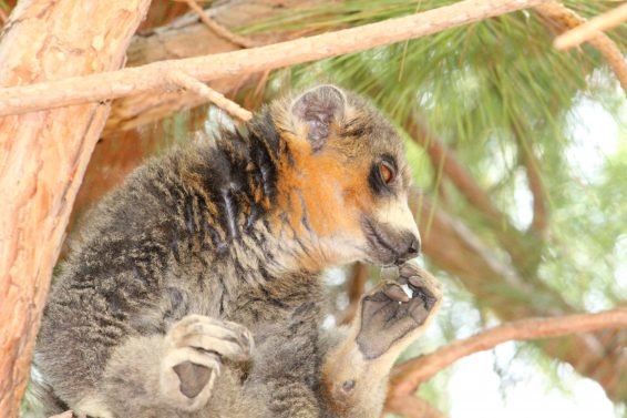 My favorite 22 Things To Do Antananarivo, Madagascar