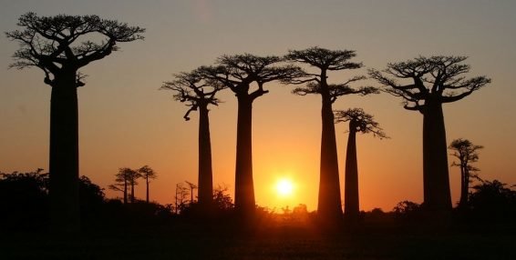 My favorite 22 Things To Do Antananarivo, Madagascar