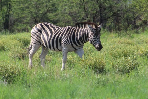 My favorite 10 Things To Do in Johannesburg, South Africa