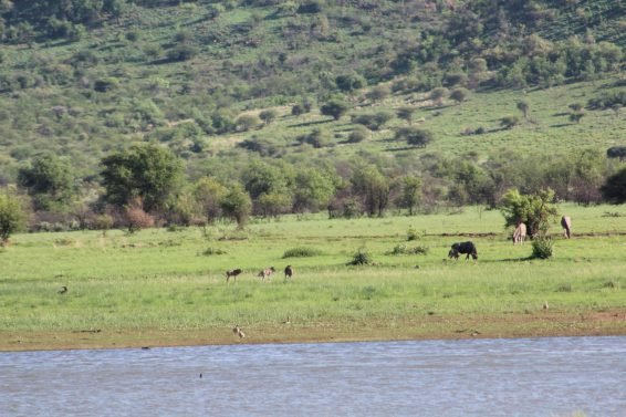 My favorite 10 Things To Do in Johannesburg, South Africa