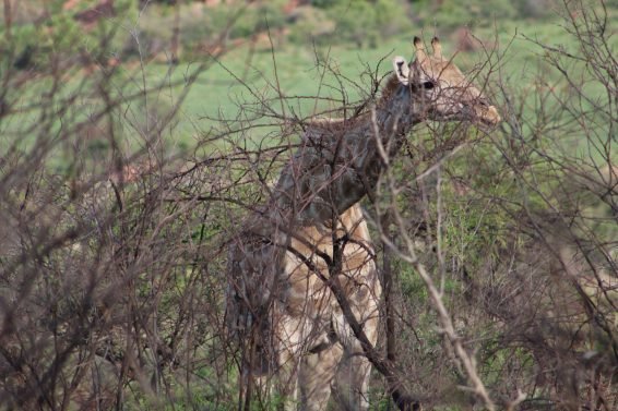My favorite 10 Things To Do in Johannesburg, South Africa