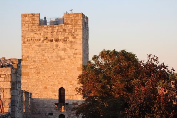 My favorite Things To Do Belgrade