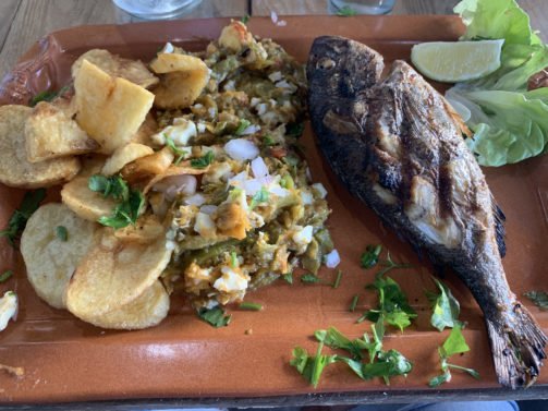 My favorite Things to Do Tunis