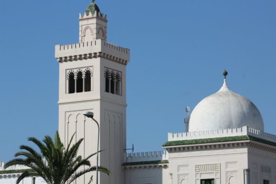 My favorite Things to Do Tunis