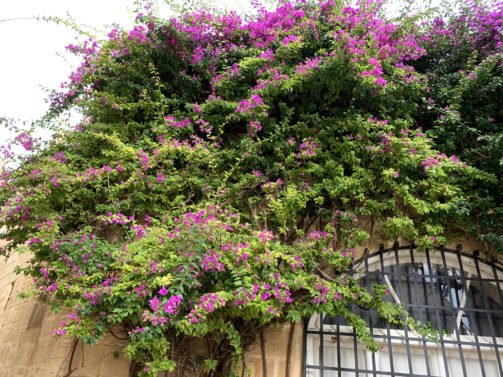My favorite Things To Do Malta