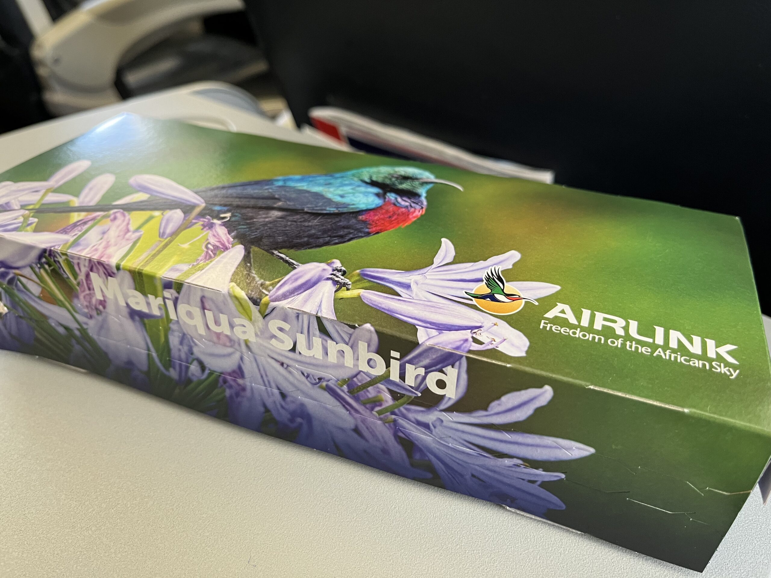 Airlink Review: Flying Economy from Johannesburg to Windhoek